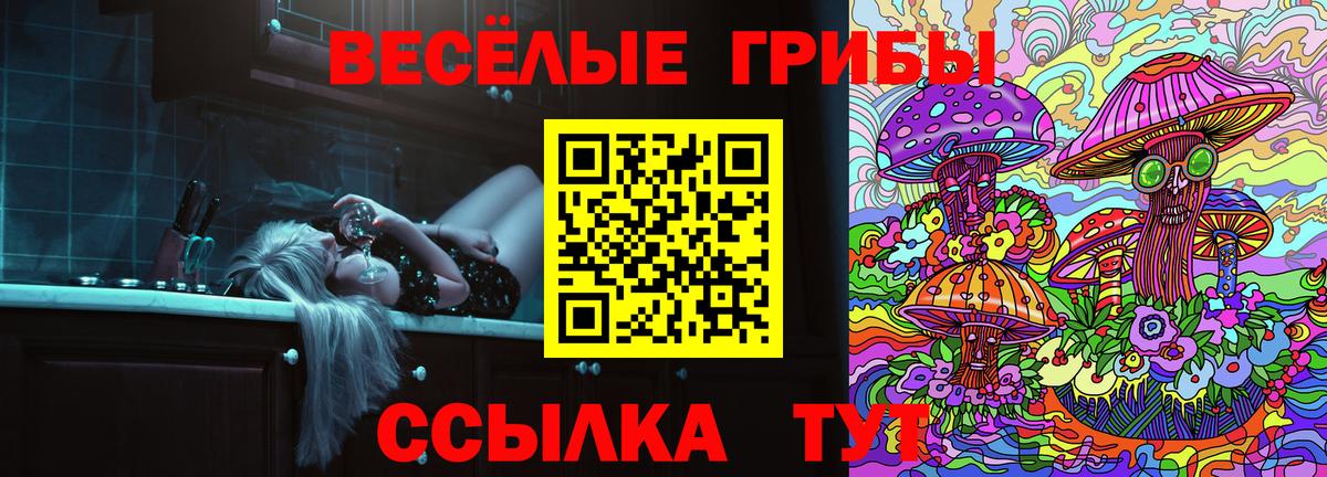 Галлюциногенные грибы Cubensis  Галлюциногенные грибы Cubensis  Вход с VPN  Казань 